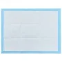 Pet pads 100 units 60x45 cm non-woven textile by vidaXL, Pet Underpads - Ref: Foro24-170757, Price: 32,91 €, Discount: %