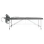 Camilla de masaje 2 zonas marco aluminio antracita 186x68 cm de vidaXL, Mesas de masaje - Ref: Foro24-110174, Precio: 185,12 ...