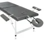 2-Zonen-Massageliege anthrazitfarbenes Aluminiumgestell 186x68 cm von vidaXL, Massageliegen - Ref: Foro24-110174, Preis: 185,...