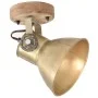 Industrielle Wand-/Deckenlampen 2 Stück Messing 20x25 cm E27 von , Lampen - Ref: Foro24-320509, Preis: 62,45 €, Rabatt: %