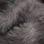 Alfombra de piel de oveja gris claro 60x90 cm de vidaXL, Alfombras - Ref: Foro24-284708, Precio: 50,11 €, Descuento: %