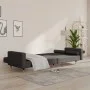 2-seater sofa bed with two dark gray velvet pillows by , Sofas - Ref: Foro24-375750, Price: 286,09 €, Discount: %