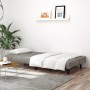 2-Sitzer-Schlafsofa aus hellgrauem Samt von , Sofas - Ref: Foro24-375926, Preis: 232,76 €, Rabatt: %