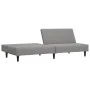 Sofá cama de 2 plazas terciopelo gris claro de , Sofás - Ref: Foro24-375926, Precio: 237,77 €, Descuento: %