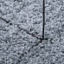 Modern long pile shaggy rug PAMPLONA blue Ø 120 cm by , Rugs - Ref: Foro24-375333, Price: 40,18 €, Discount: %