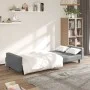 2-Sitzer-Schlafsofa aus grauem Kunstleder von , Sofas - Ref: Foro24-375953, Preis: 265,17 €, Rabatt: %
