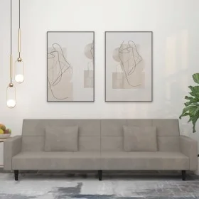 Sofá cama de 2 plazas con dos almohadas terciopelo gris claro de , Sofás - Ref: Foro24-375816, Precio: 277,89 €, Descuento: %