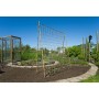 Nature für Weinpflanzen, Naturjute, 1 x 3 m von , Gartenzubehör - Ref: Foro24-447514, Preis: 16,32 €, Rabatt: %