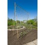Nature für Weinpflanzen, Naturjute, 1 x 3 m von , Gartenzubehör - Ref: Foro24-447514, Preis: 16,32 €, Rabatt: %
