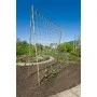 Nature Netting for vine plants natural jute 1x3 m by , Gardening accessories - Ref: Foro24-447514, Price: 16,26 €, Discount: %