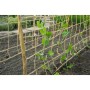 Nature für Weinpflanzen, Naturjute, 1 x 3 m von , Gartenzubehör - Ref: Foro24-447514, Preis: 16,32 €, Rabatt: %