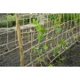 Nature Malla para plantas enredaderas yute natural 1x3 m de , Accesorios de jardinería - Ref: Foro24-447514, Precio: 16,24 €,...
