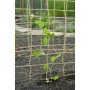 Nature für Weinpflanzen, Naturjute, 1 x 3 m von , Gartenzubehör - Ref: Foro24-447514, Preis: 16,32 €, Rabatt: %