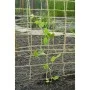 Nature Netting for vine plants natural jute 1x3 m by , Gardening accessories - Ref: Foro24-447514, Price: 16,26 €, Discount: %