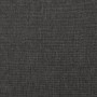Sofá cama de 2 plazas con dos almohadas tela gris oscuro de , Sofás - Ref: Foro24-375800, Precio: 261,26 €, Descuento: %
