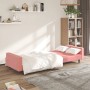 Sofá cama de 2 plazas terciopelo rosa de , Sofás - Ref: Foro24-375941, Precio: 255,55 €, Descuento: %
