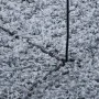 Alfombra peluda de pelo largo moderna PAMPLONA azul Ø 200 cm de , Alfombras - Ref: Foro24-375335, Precio: 63,44 €, Descuento: %