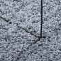 Modern long pile shaggy rug PAMPLONA blue Ø 200 cm by , Rugs - Ref: Foro24-375335, Price: 64,24 €, Discount: %
