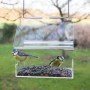 Esschert Design Acryl-Vogelfutterspender zum Aufhängen von Esschert Design, Vogel Fütterer - Ref: Foro24-428844, Preis: 19,95...