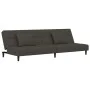 Sofá cama de 2 plazas con dos almohadas terciopelo gris oscuro by , Sofas - Ref: Foro24-375808, Price: 245,68 €, Discount: %