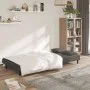 Sofá cama de 2 plazas con dos almohadas terciopelo gris oscuro by , Sofas - Ref: Foro24-375808, Price: 245,68 €, Discount: %