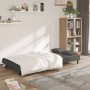 Zweiplätziges Schlafsofa mit zwei dunkelgrauen Samtkissen. von , Sofas - Ref: Foro24-375808, Preis: 250,51 €, Rabatt: %
