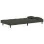 Sofá cama de 2 plazas con dos almohadas terciopelo gris oscuro by , Sofas - Ref: Foro24-375808, Price: 245,68 €, Discount: %