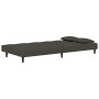 Zweiplätziges Schlafsofa mit zwei dunkelgrauen Samtkissen. von , Sofas - Ref: Foro24-375808, Preis: 250,51 €, Rabatt: %