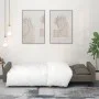 Sofá cama de 2 plazas con dos almohadas terciopelo gris oscuro by , Sofas - Ref: Foro24-375817, Price: 276,38 €, Discount: %