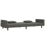 Zweiplätziges Schlafsofa mit zwei dunkelgrauen Samtkissen. von , Sofas - Ref: Foro24-375817, Preis: 281,25 €, Rabatt: %