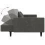 Sofá cama de 2 plazas con dos almohadas terciopelo gris oscuro by , Sofas - Ref: Foro24-375817, Price: 276,38 €, Discount: %