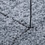 Alfombra de pelo largo moderna azul Ø 100 cm by , Rugs - Ref: Foro24-375332, Price: 24,15 €, Discount: %