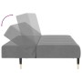 Sofá cama de 2 plazas terciopelo gris claro by , Sofas - Ref: Foro24-375874, Price: 249,42 €, Discount: %