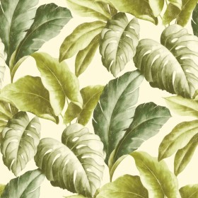 DUTCH WALLCOVERINGS Papel pintado hojas tropicales