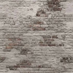 DUTCH WALLCOVERINGS Mural fotográfico Old Brick Wa