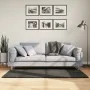 Alfombra pelo largo aspecto brillante ISTAN antracita 80x150 cm de , Alfombras - Ref: Foro24-375638, Precio: 29,69 €, Descuen...