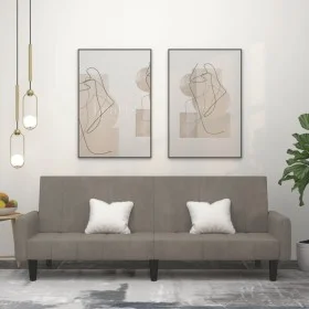 Sofá cama de 2 plazas terciopelo gris claro de , Sofás - Ref: Foro24-375774, Precio: 271,33 €, Descuento: %