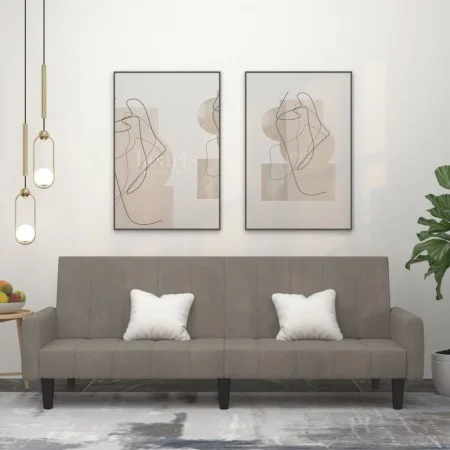 Sofá cama de 2 plazas terciopelo gris claro de , Sofás - Ref: Foro24-375774, Precio: 271,33 €, Descuento: %