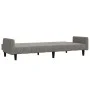 Sofá cama de 2 plazas terciopelo gris claro de , Sofás - Ref: Foro24-375774, Precio: 271,33 €, Descuento: %