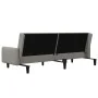 Sofá cama de 2 plazas terciopelo gris claro de , Sofás - Ref: Foro24-375774, Precio: 271,33 €, Descuento: %