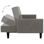 Sofá cama de 2 plazas terciopelo gris claro de , Sofás - Ref: Foro24-375774, Precio: 271,33 €, Descuento: %
