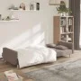 Two-seater sofa bed with two taupe gray fabric pillows. by , Sofas - Ref: Foro24-375805, Price: 292,08 €, Discount: %