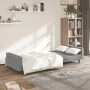 2-Sitzer-Schlafsofa hellgrauer Samt von , Sofas - Ref: Foro24-375937, Preis: 285,22 €, Rabatt: %