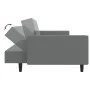 2-Sitzer-Schlafsofa hellgrauer Samt von , Sofas - Ref: Foro24-375937, Preis: 285,22 €, Rabatt: %