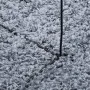 Alfombra peluda de pelo largo moderna PAMPLONA azul 240x340 cm de , Alfombras - Ref: Foro24-375329, Precio: 147,23 €, Descuen...