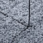 Modern long-haired furry rug PAMPLONA blue 240x340 cm by , Rugs - Ref: Foro24-375329, Price: 157,61 €, Discount: %