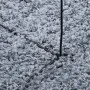 Alfombra peluda de pelo largo moderna PAMPLONA azul Ø 240 cm de , Alfombras - Ref: Foro24-375336, Precio: 95,37 €, Descuento: %