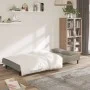 Two-seater sofa bed with two light gray velvet pillows by , Sofas - Ref: Foro24-375807, Price: 247,80 €, Discount: %