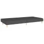2-Sitzer-Schlafsofa aus dunkelgrauem Stoff von , Sofas - Ref: Foro24-375755, Preis: 254,85 €, Rabatt: %