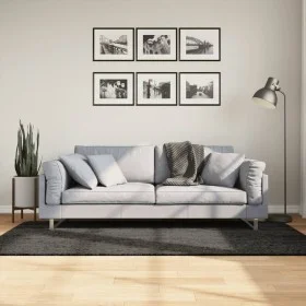 ISTAN anthrazitfarbener Langhaar-Teppich in glänzender Optik, 100 x 200 cm von , Teppiche - Ref: Foro24-375639, Preis: 43,44 ...